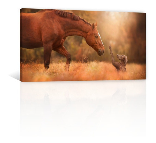 Cuadro Decorativo Canvas Animales Caballo Y Perro Amigos