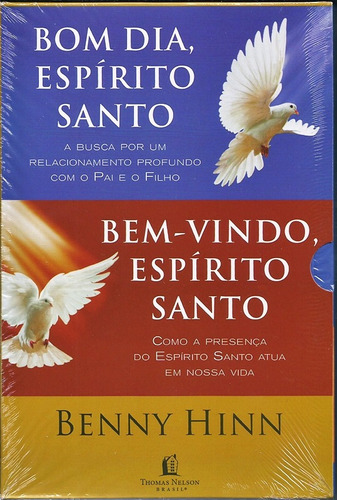 Box Bom Dia Espírito Santo I Bem-vindo Espírito Santo Benny | Parcelamento  sem juros