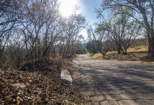 Venta Lote San Diego 56 Sobre Avenida Principal Y Cercanía A Las Amenidades Del Fracc Rancho San Diego Ixtapan De La Sal Edomex