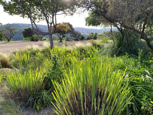 Venta Parcela Embalse Los Aromos