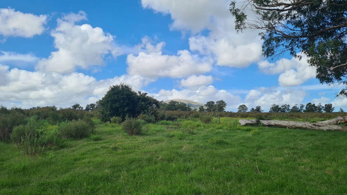 Chacras De 3 Hectáreas Sobre Ruta Interbalnearia Desde 95.000 Dólares, Oportunidad!