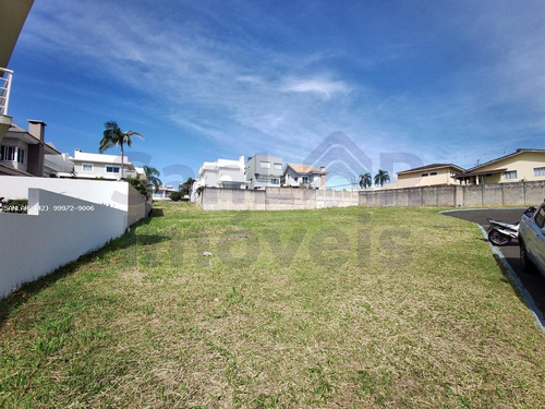 Imagem 8 de 15 de Terreno Para Venda Em Ponta Grossa, Oficinas - _1-2378210