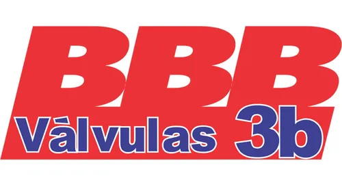 Válvulas Admisión Audi: Tt Quattro | Q5 | A8 Quattro | A3
