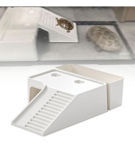 De Para Tortugas, Terraza De , Escalera Caja De Suelo Grande