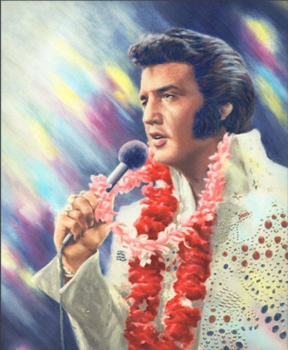 Pintura Elvis Presley Pintada En Oleo 1 De 1 En El Mundo
