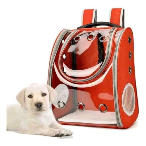 Mochila Bolso Transparente Para Transportar Mascotas Perros 