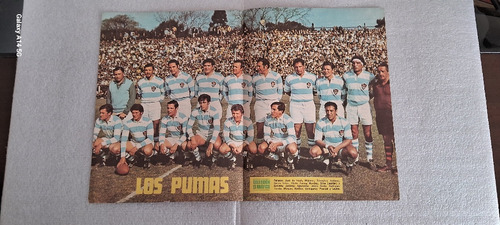 Póster Los Pumas Año 1969