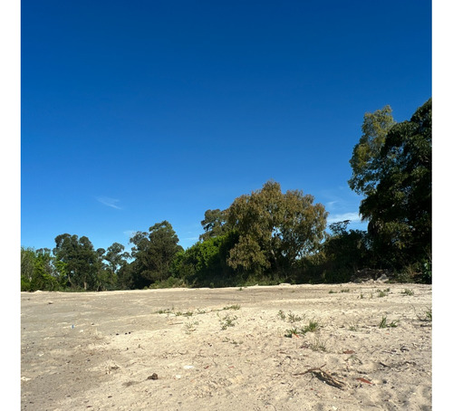 Venta Campo Carrasco Norte