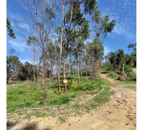 Vendo Ou Passo Financiamento Lote De Terreno Em Condominio Fechado, Pronto Para Construir