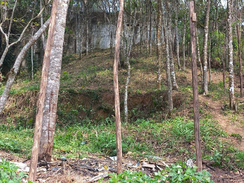 Imagem 12 de 12 de Terreno Mairiporã 800 Metros