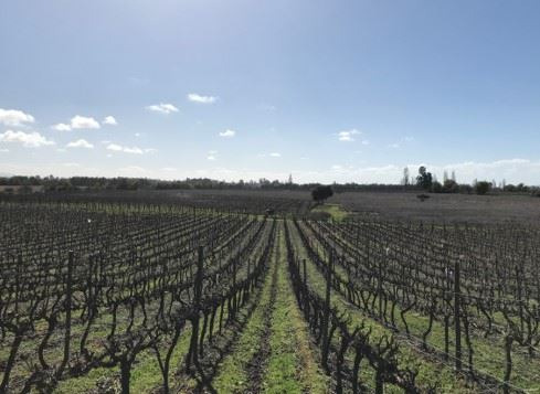 Terreno Agrícola Linares