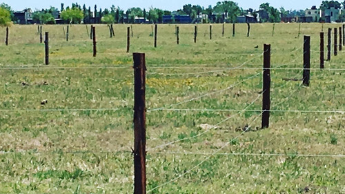 Imagen 6 de 9 de Hermosos Lotes En Domselaar,muy Buena Zona
