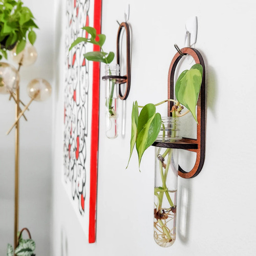Jarrón De Pared Para Cultivo, Tubo De Ensayo, 2 Unidades, Pa