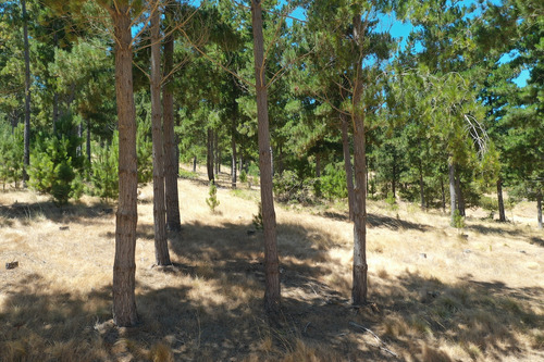 Excelente Terreno En Boyeruca