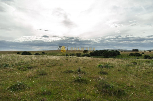 Campo De 86 Has Ganadero, Cuenta Con Tajamar Y Costa De Arroyo. Consulte!!!!!!- Ref: 2366