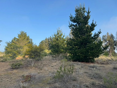 Terreno En Algarrobo Norte, Excelente Ubicación, 5.000 M2.