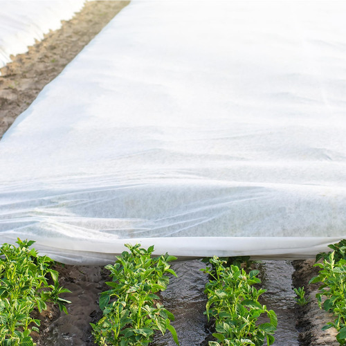 Garden - Cubiertas De Protección Contra La Congelación, 10 P