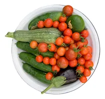 Comprar Combo De 50 Variedades Semillas Huerta Primavera Verano