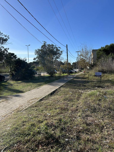Lote Multifamiliar En Venta En Ostende