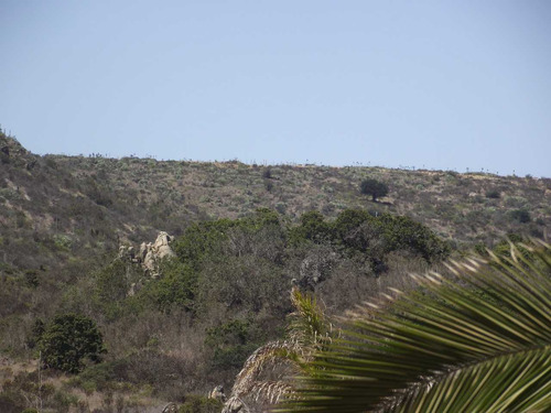 Oportundiad Venta Parcela,los Molles. (91383)