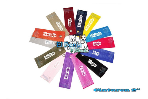 Kit Arnes, Collar, Correa Taco Envio Incluido