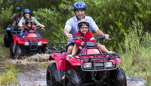 Imagen 11 de 12 de Solanas Forest Resort. 2 Amb. 4 Personas Disponible A Partir De Marzo Hasta Navidad