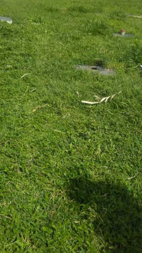 Imagen 3 de 5 de Se Vende Parcela 2 Puestos / Cementerio Del Este