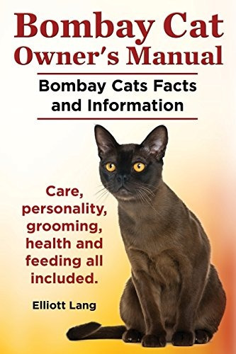 Manual De Propietarios De Gatos De Bombay Datos Y Datos De L