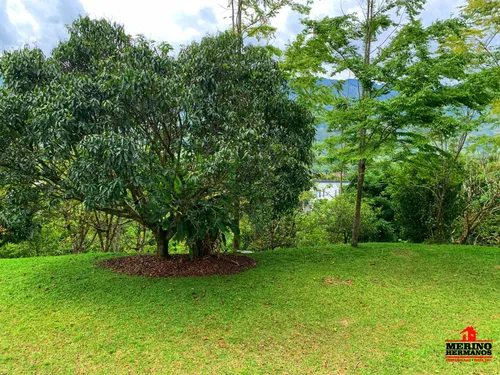 Finca En Venta En Barbosa - Popalito