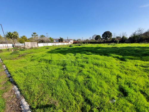 Espectacular Terreno A Pasos Del Centro De Olmue