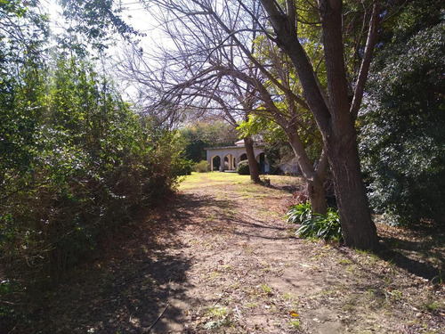 Imagen 4 de 30 de Casa - La Plata - 312 E/ 50 Y 52 . El Rodeo - Dacal Bienes Raices