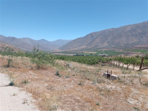 Imagen 11 de 20 de Predio Agua Amarilla, Monte Patria
