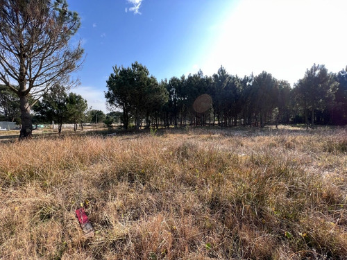 Imagen 8 de 18 de Venta Terreno Financiable Lomas De Solymar Canelones