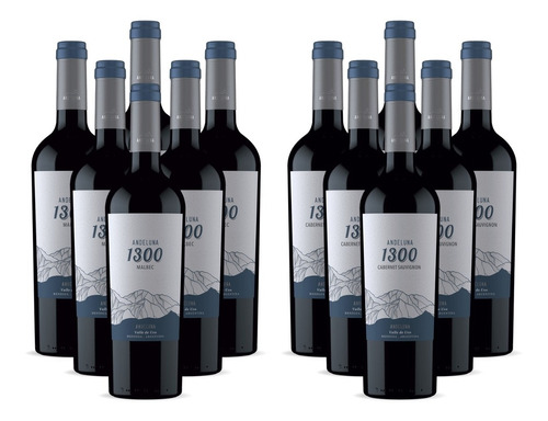 Combo 12 Vinos Andeluna 1300 Malbec + Cabernet Sauvignon