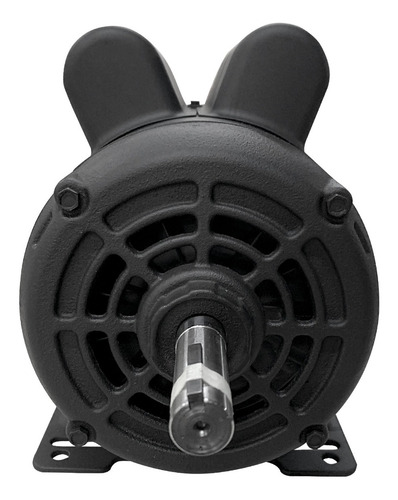 Imagem 7 de 9 de Engenhoca De Moer Cana 120 Alta Completa Motor Correia Chave