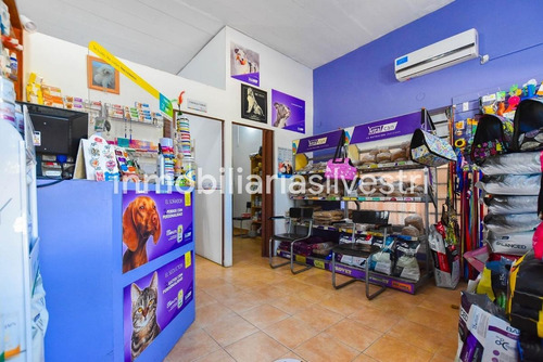Imagen 4 de 17 de Venta En Block - 8 Locales Comerciales 2 Departamentos - Arturo Seguí