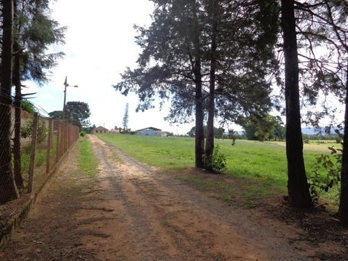 Imagem 1 de 13 de Venda - Sítio Zona Rural / Araçoiaba Da Serra/sp - 4254