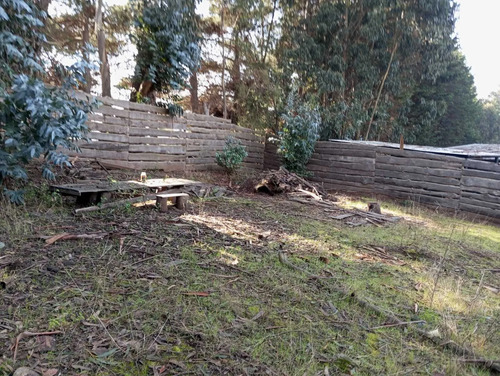 Terreno En Bosques De Quirilluca (173638)