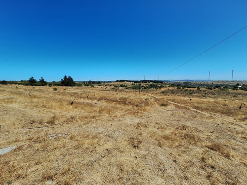 Se Vende Campo En Litueche Con 5 Tranques Y 2 Vertientes