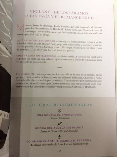 Brujas Literarias - 30 Grandes Escritoras - Ilustrado