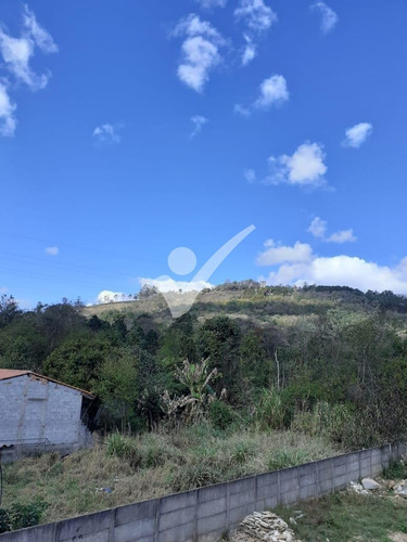 Imagem 6 de 13 de Chácara À Venda Em Portão - Ch003627