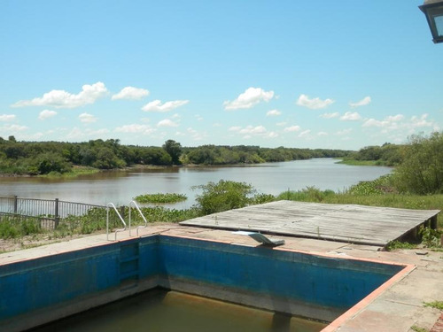 Estancia Isla Vizcaino 1569ha Ganadero Agricola Rio Negro Y Rio Uruguay