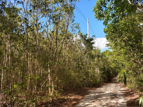 Imagen 2 de 8 de Terreno En Venta Cancun 4,900m2 | P2227