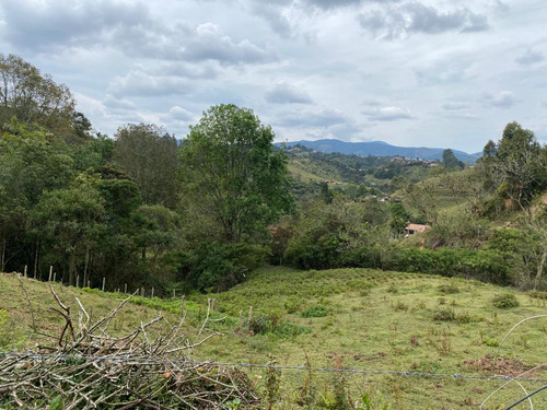 Lotes En Parcelacion En La Via Pantanillo Desde 2500 M2 A 4000 M2