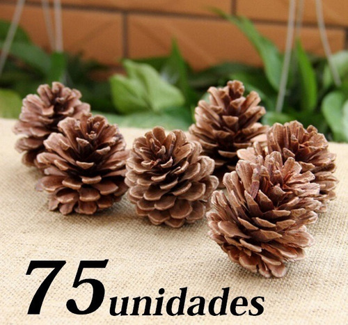  75 Pinhas Arvore De Pinos Natural Enfeite Natal Artesanato 