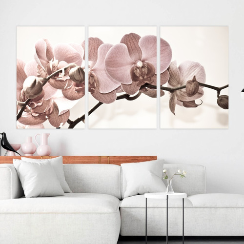 Imagem 4 de 9 de Quadro Flores Orquídeas Bege Para Sala Recepção Canvas