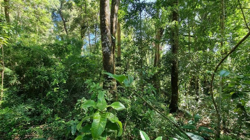 Parcela En Venta Lomas Del Mirador Puerto Varas