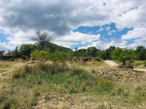 Imagen 19 de 21 de Venta Campo Comercial Sobre Ruta N5 - Villa General Belgrano- Inv0052