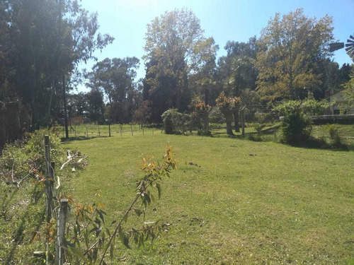 Imagen 4 de 5 de Lotes De Terreno, La Plata