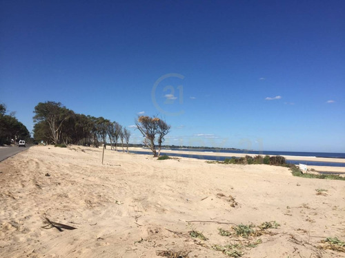 Imagen 6 de 10 de Oportunidad De Terreno Frente Al Mar En Parque Del Plata Sur